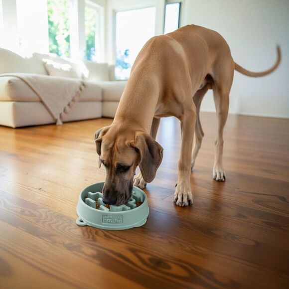 NWT Outward Hound Slo Bowl Sage Green LARGE Slow Feeder Anti Bloat Dog Bowl - Picture 4 of 10